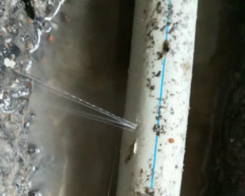 友谊卫生间测漏水多少钱