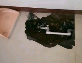 友谊卫生间测漏水多少钱